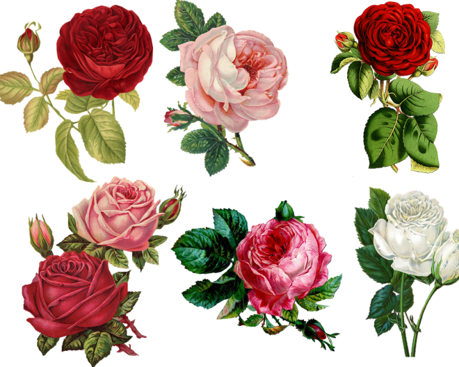 Classique - Le charme intemporel du classique : conseils pour une décoration élégante