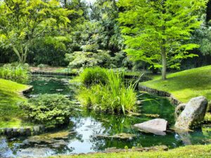 piscinenaturelle