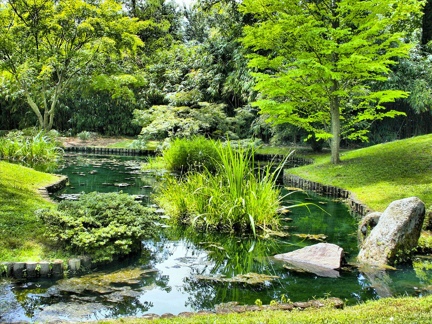 piscinenaturelle